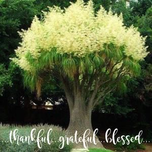 Meet your Posher, Sandy